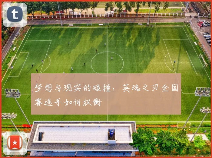 梦想与现实的碰撞，英魂之刃全国赛选手如何权衡